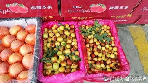 冬棗變“夏棗”？反季上市價高銷量漲，25元一斤仍受熱捧